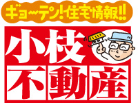 小枝不動産　出演